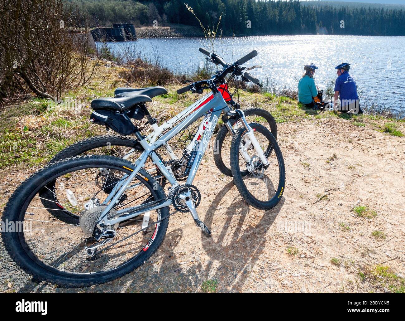 Les cyclistes avec VTT sont sur la route à vélo dans le parc aquatique et forestier de Kielder, Northumberland, nord-est de l'Angleterre, Angleterre, Royaume-Uni Banque D'Images