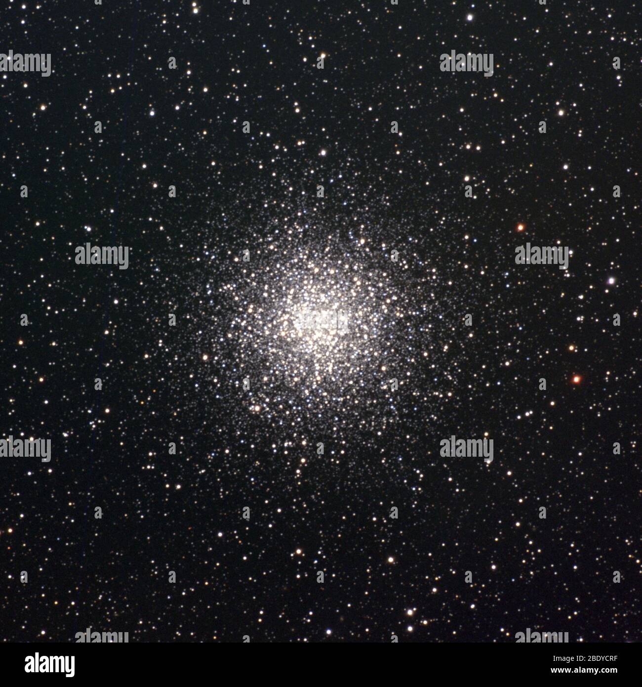 Star de la Rose d'été, M55, NGC 6809 Banque D'Images