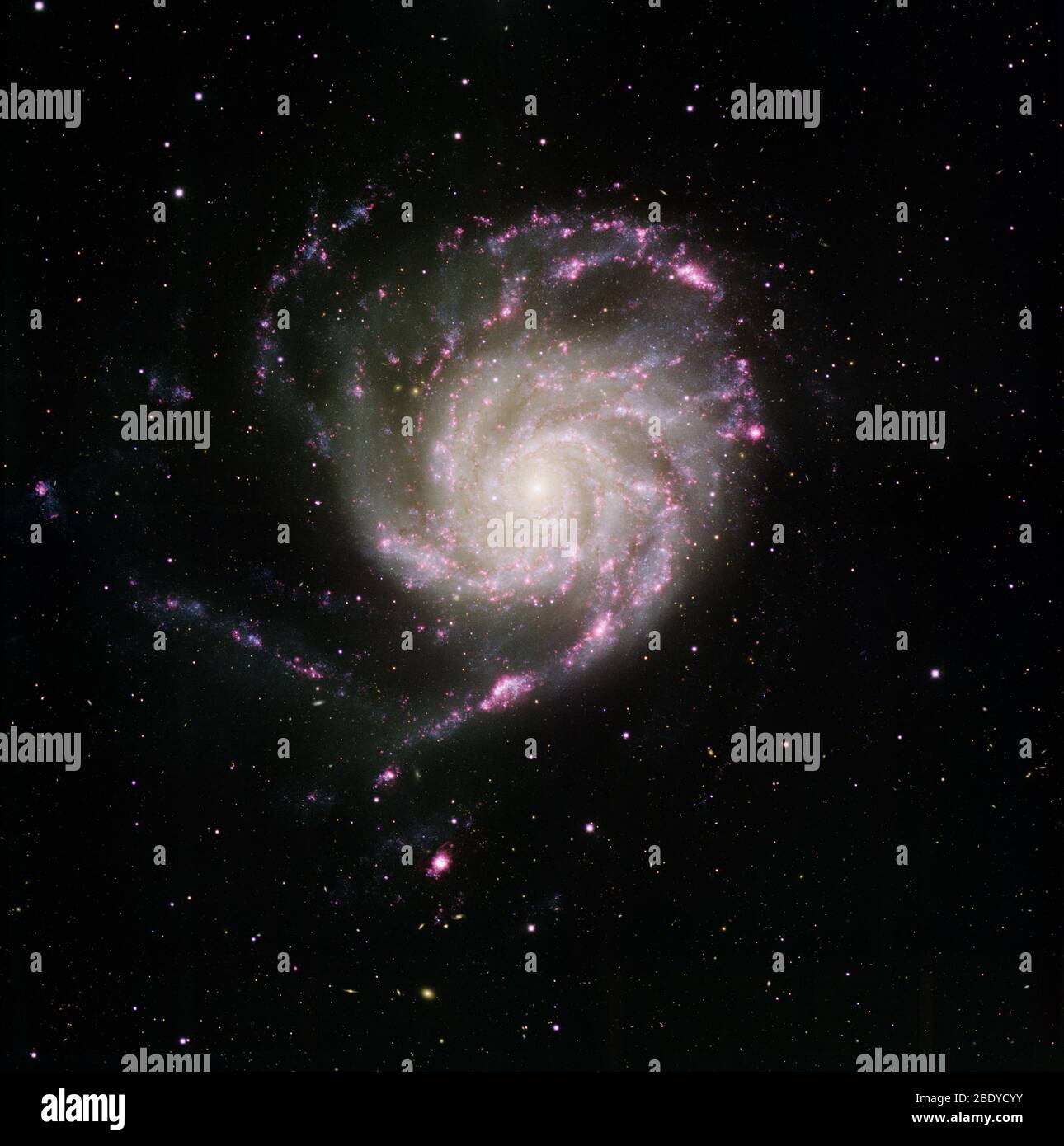 Pinwheel Galaxy, M101, NGC 5457 Banque D'Images