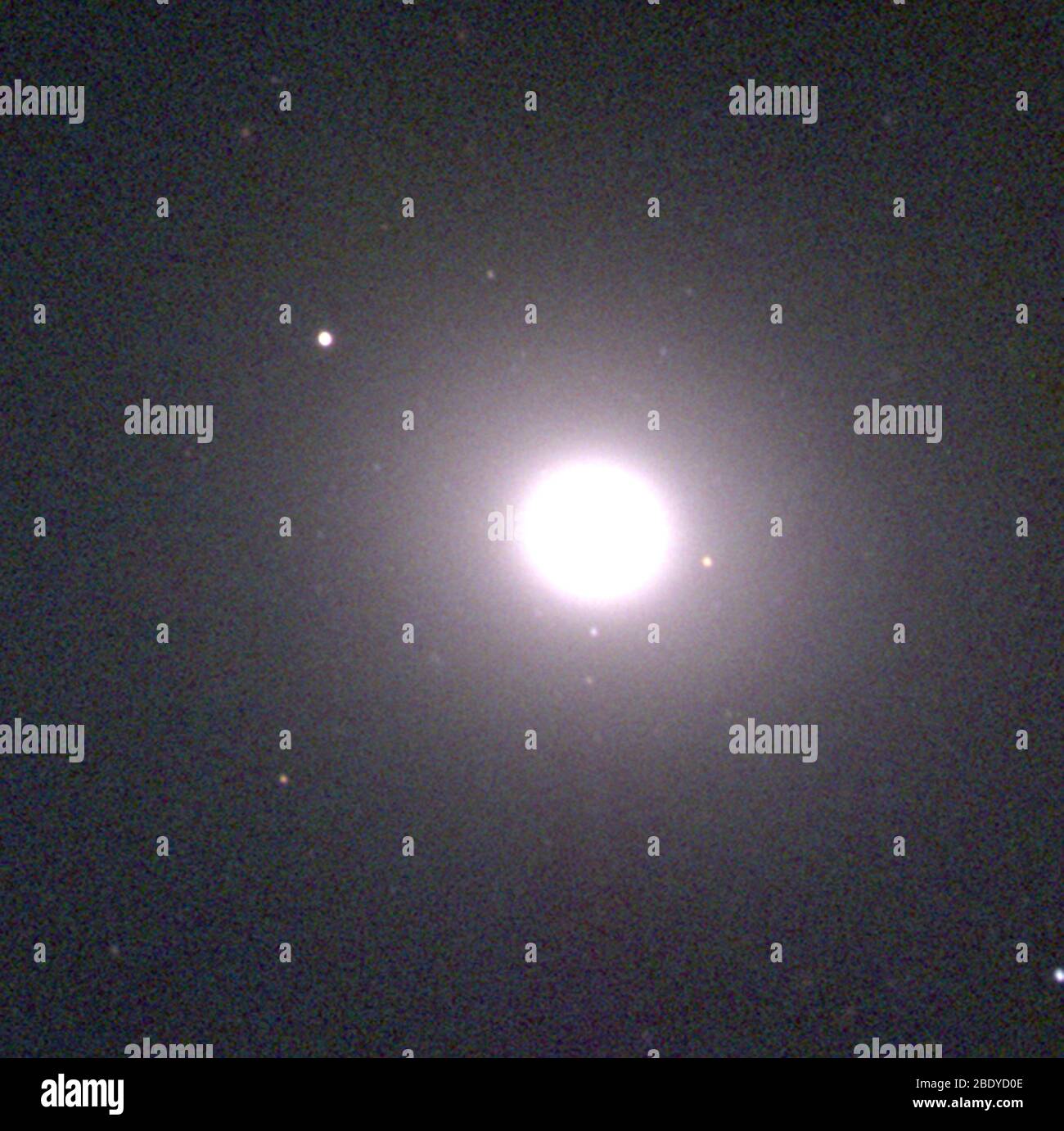 Galaxy elliptique, M105, NGC 3379 Banque D'Images