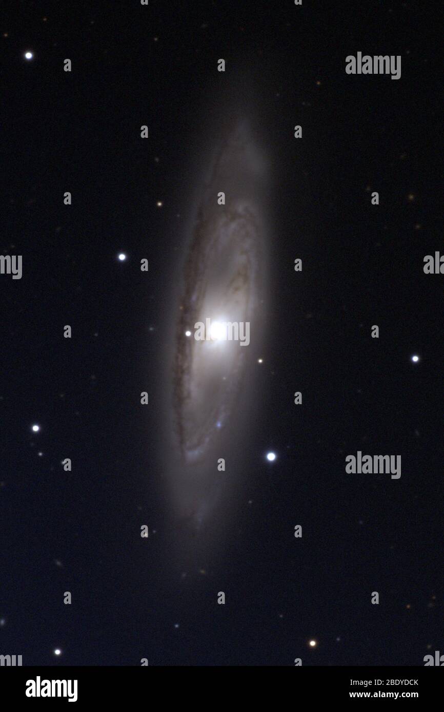 Galaxy intermédiaire en spirale, M65, NGC 3623 Banque D'Images