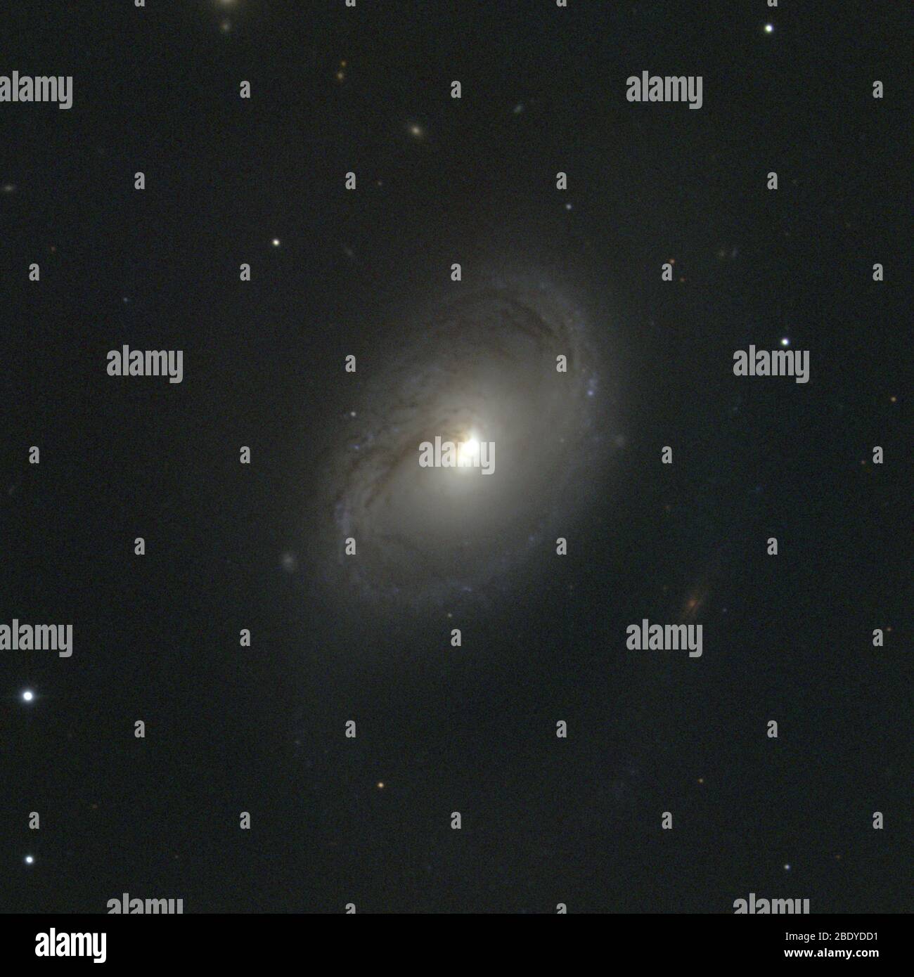 Galaxy intermédiaire en spirale, M96, NGC 3368 Banque D'Images