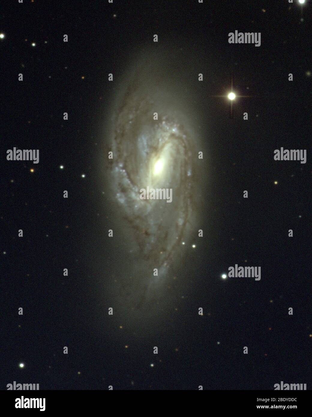 Galaxy intermédiaire en spirale, M66, NGC 3627 Banque D'Images