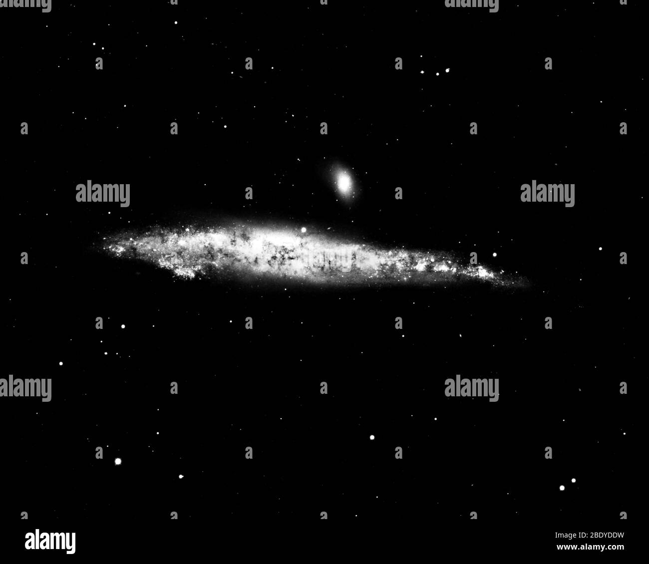 La galaxie NGC 4631, baleine, Caldwell 32 Banque D'Images