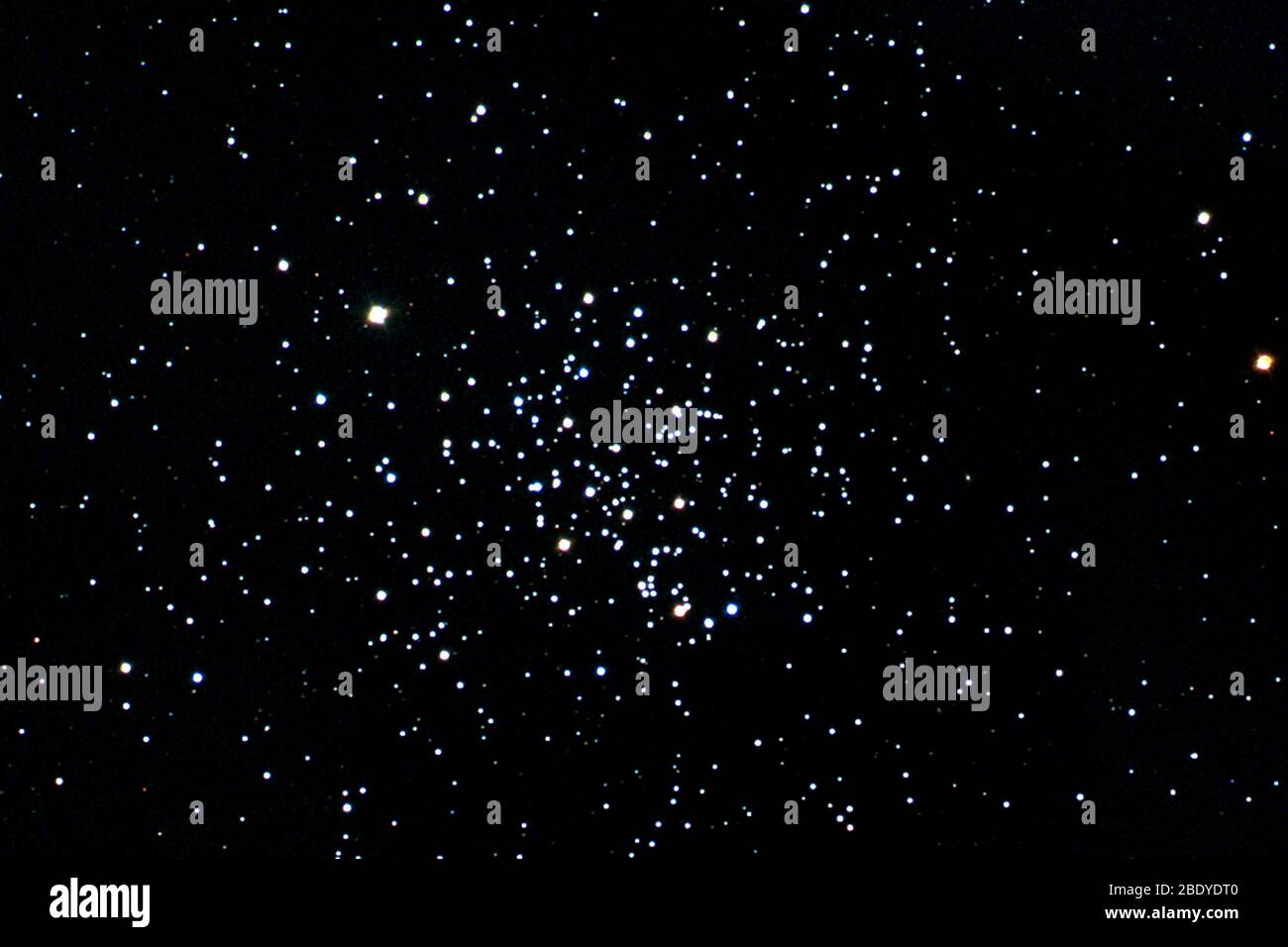 Cluster Open Star, M67, NGC 2682 Banque D'Images