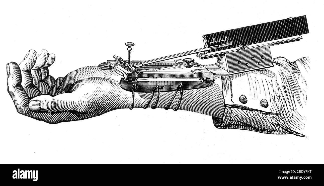 Sphygmographe de Marey, 1885 Banque D'Images