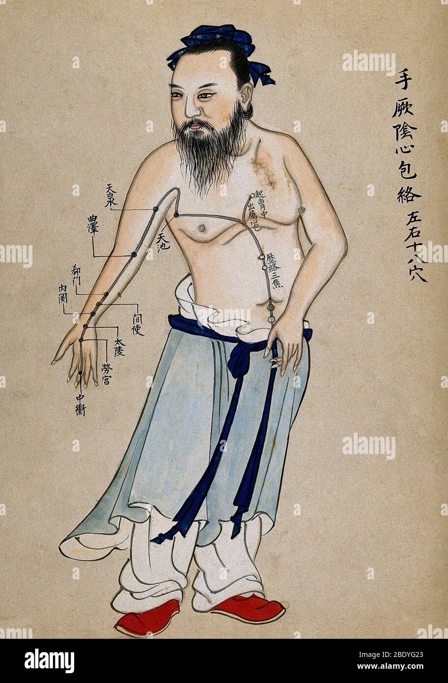 Carte chinoise d'acupuncture, XVIIIe siècle Banque D'Images