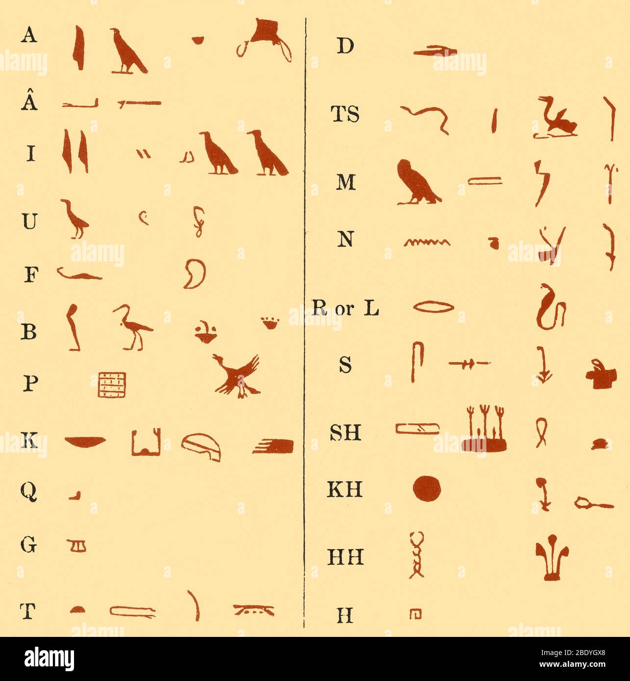 Les hiéroglyphes égyptiens Banque D'Images