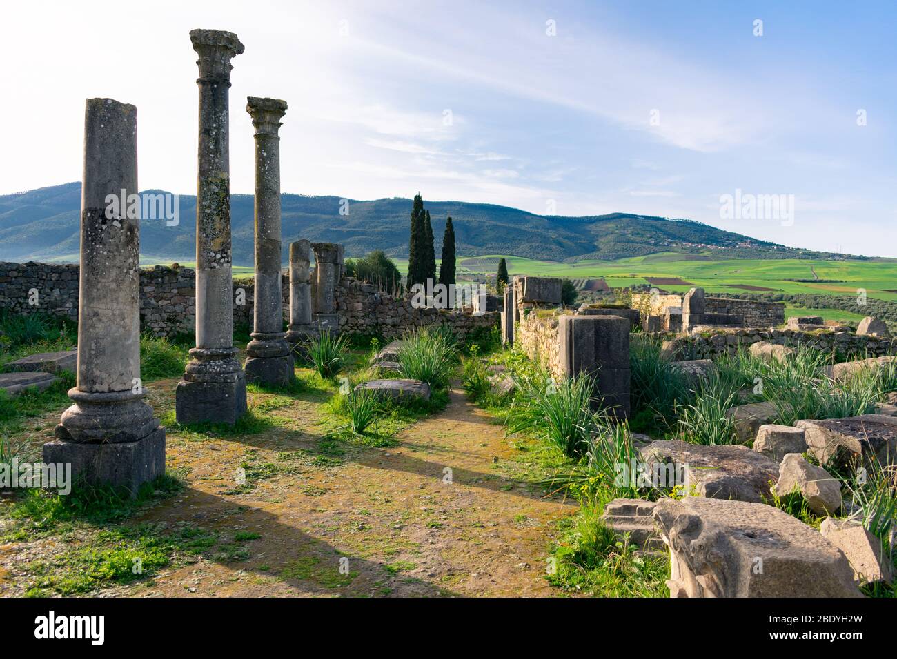 Colonnes aux ruines romaines de Volubilis au Maroc Banque D'Images