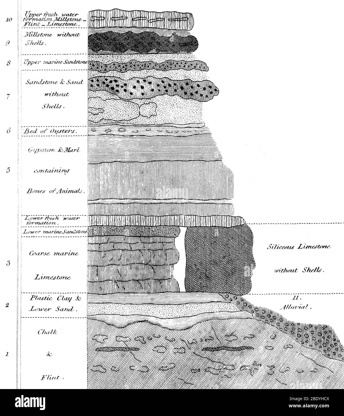 Profil stratigraphique. Cuvier, comme précédemment Buffon, affirme que les fossiles montrent une alternance de faunes différentes pendant l'histoire géologique de la terre, diverses "évolutions" ont changé la face de la terre et les espèces sont devenues éteintes et remplacées par de nouvelles. Pour soutenir cette hypothèse, il a étudié et cartographié les successions stratigraphiques du bassin de Paris. En collaboration avec le jeune géologue Alexandre Brongniart, après quatre années de travail, ils ont publié en 1808 le "Essai minisérigique sur les environs de Paris" (1ère édition 1808), avec une carte géologique A Banque D'Images