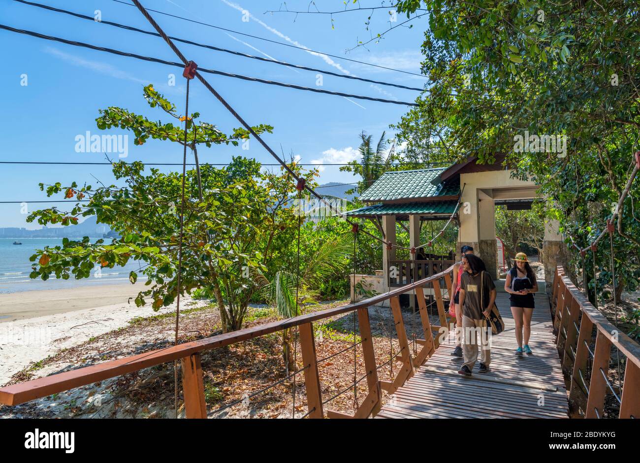 Traversez le parc national de Penang, Teluk Bahang, Penang, Malaisie Banque D'Images