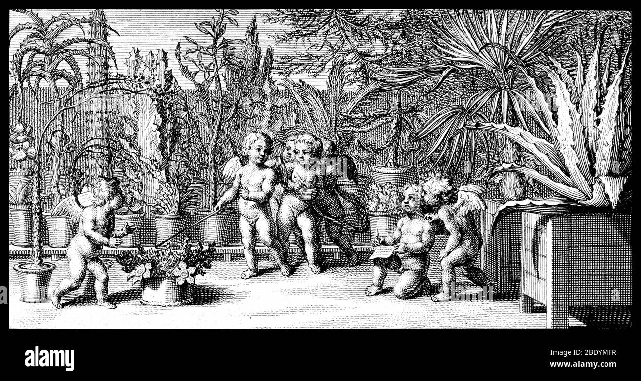 Botany, 1729 Banque D'Images