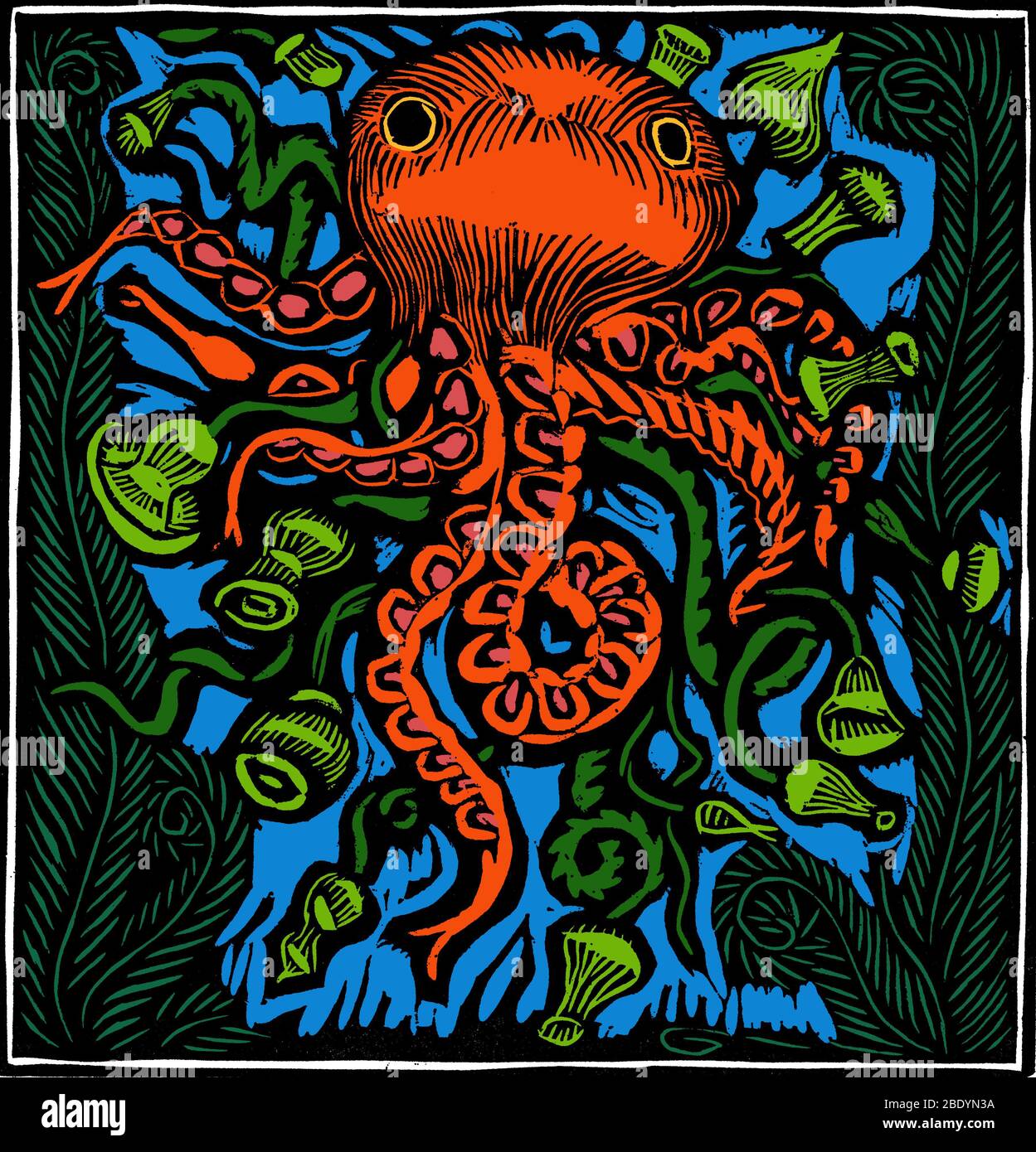 Octopus, XXe siècle Banque D'Images
