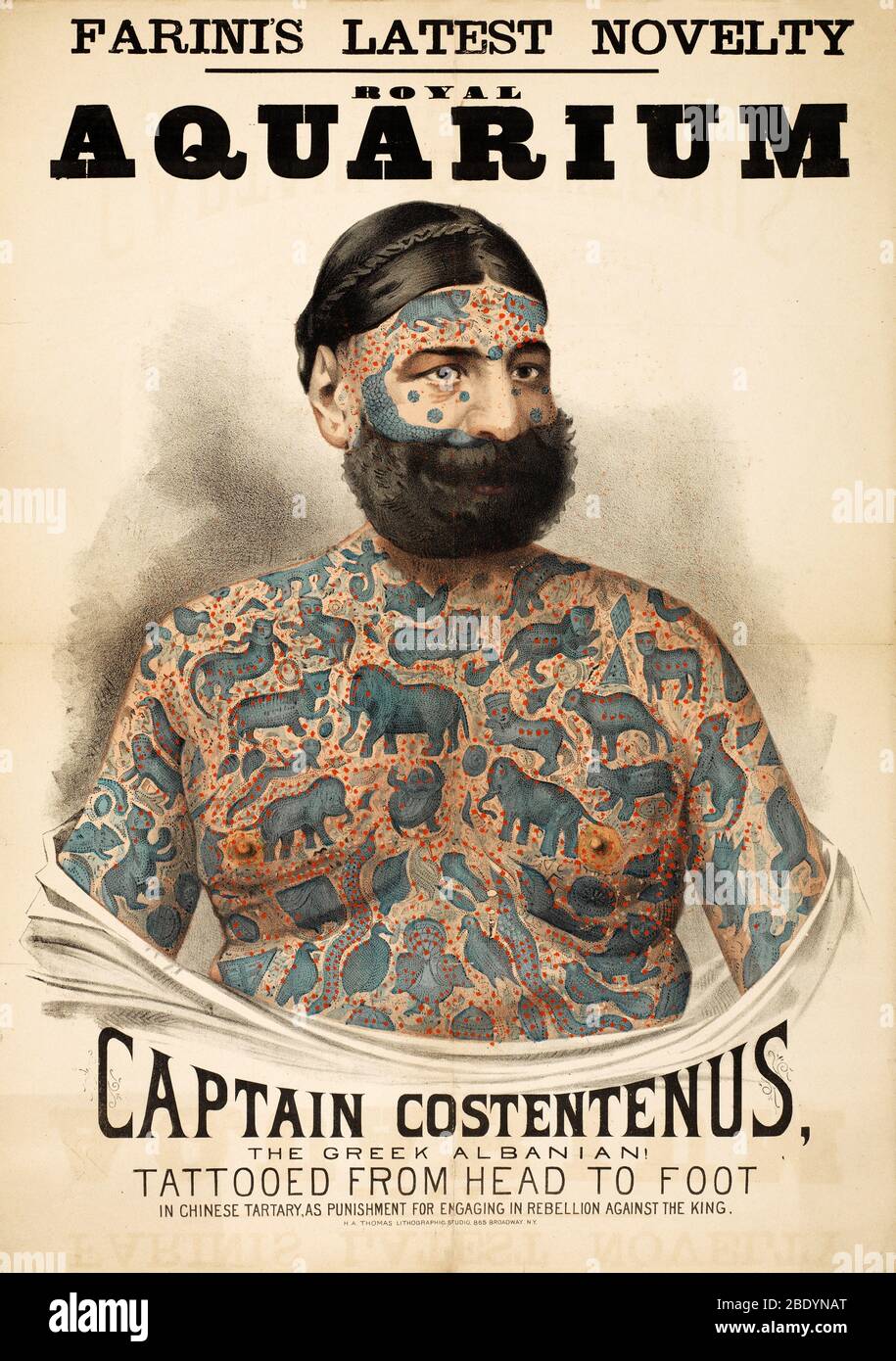 George Cotentententus, le cirque tatoué Performer Banque D'Images