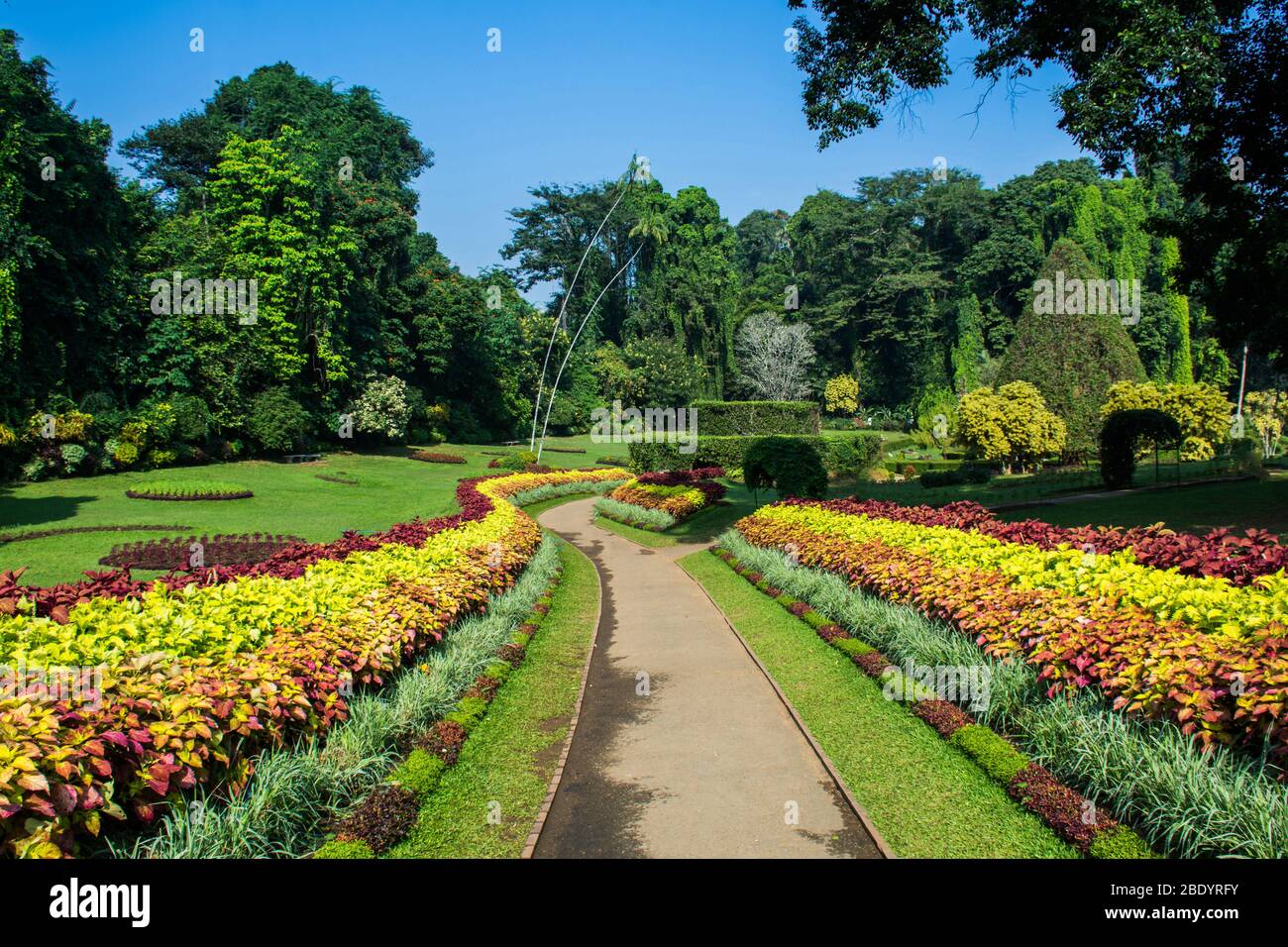 Les jardins botaniques royaux de Peradeniya sont à environ 5,5 km à l'ouest de la ville de Kandy dans la province centrale du Sri Lanka. Il attire 2 millions visito Banque D'Images