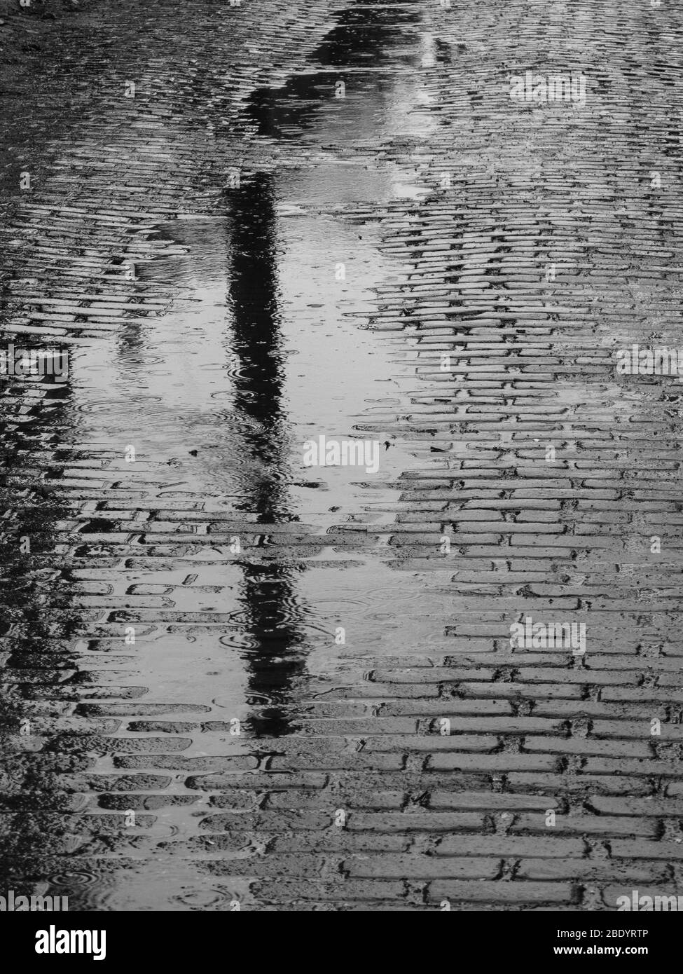 Trottoir pendant la journée des pluies, Chicago, Illinois, États-Unis Banque D'Images