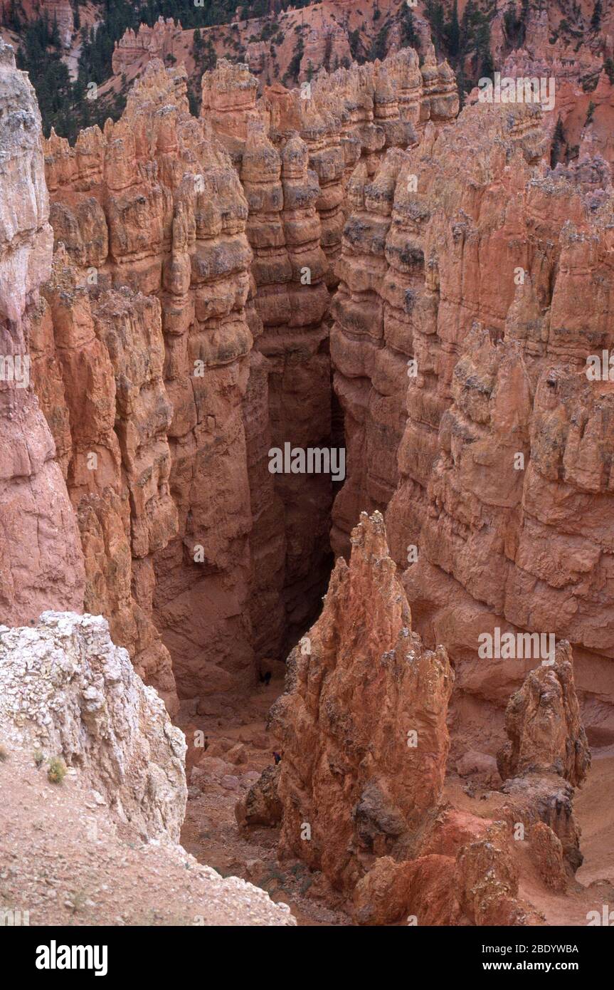 Le Parc National de Bryce Canyon Banque D'Images