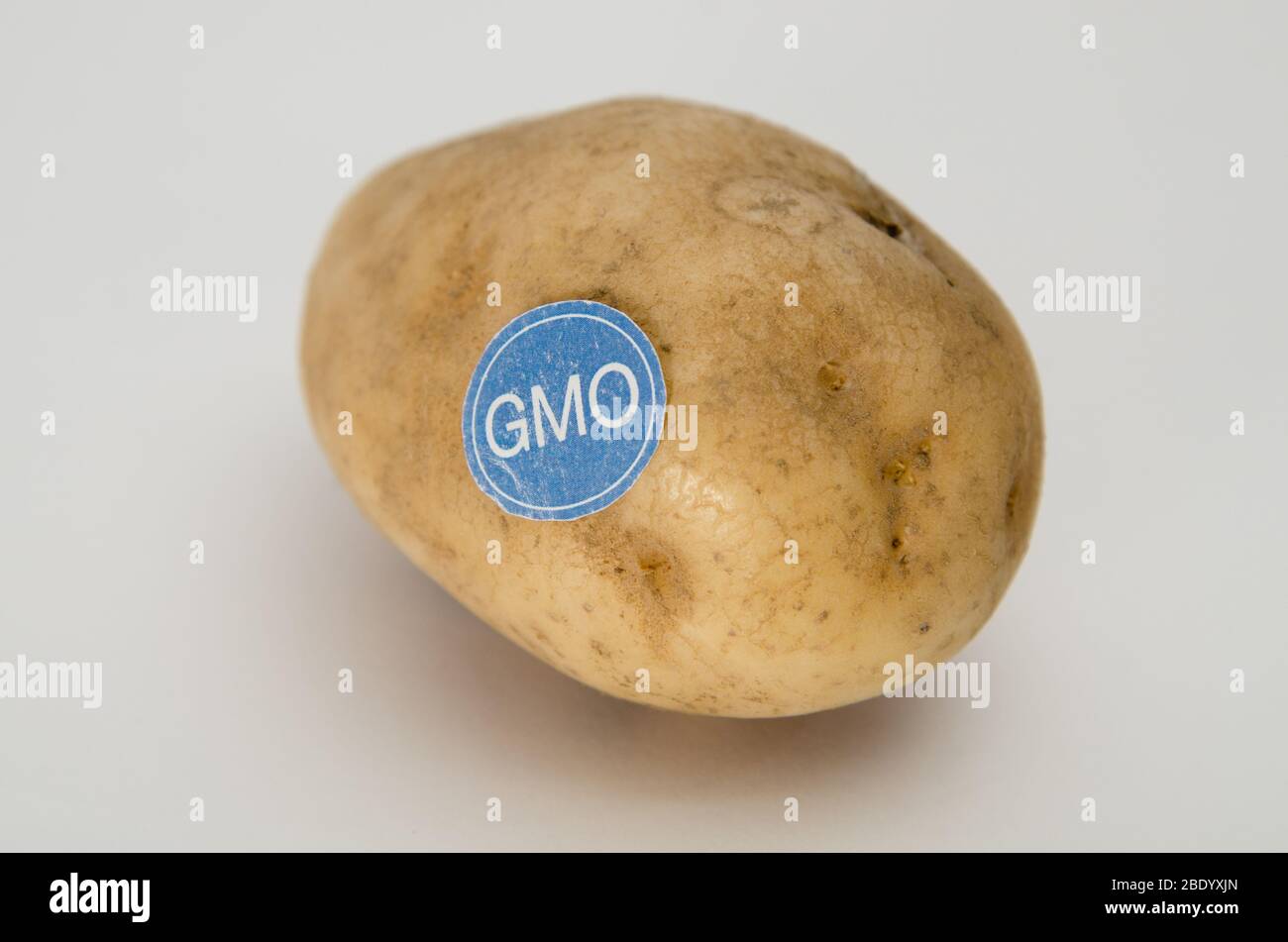 Produits génétiquement modifiés, pommes de terre Banque D'Images