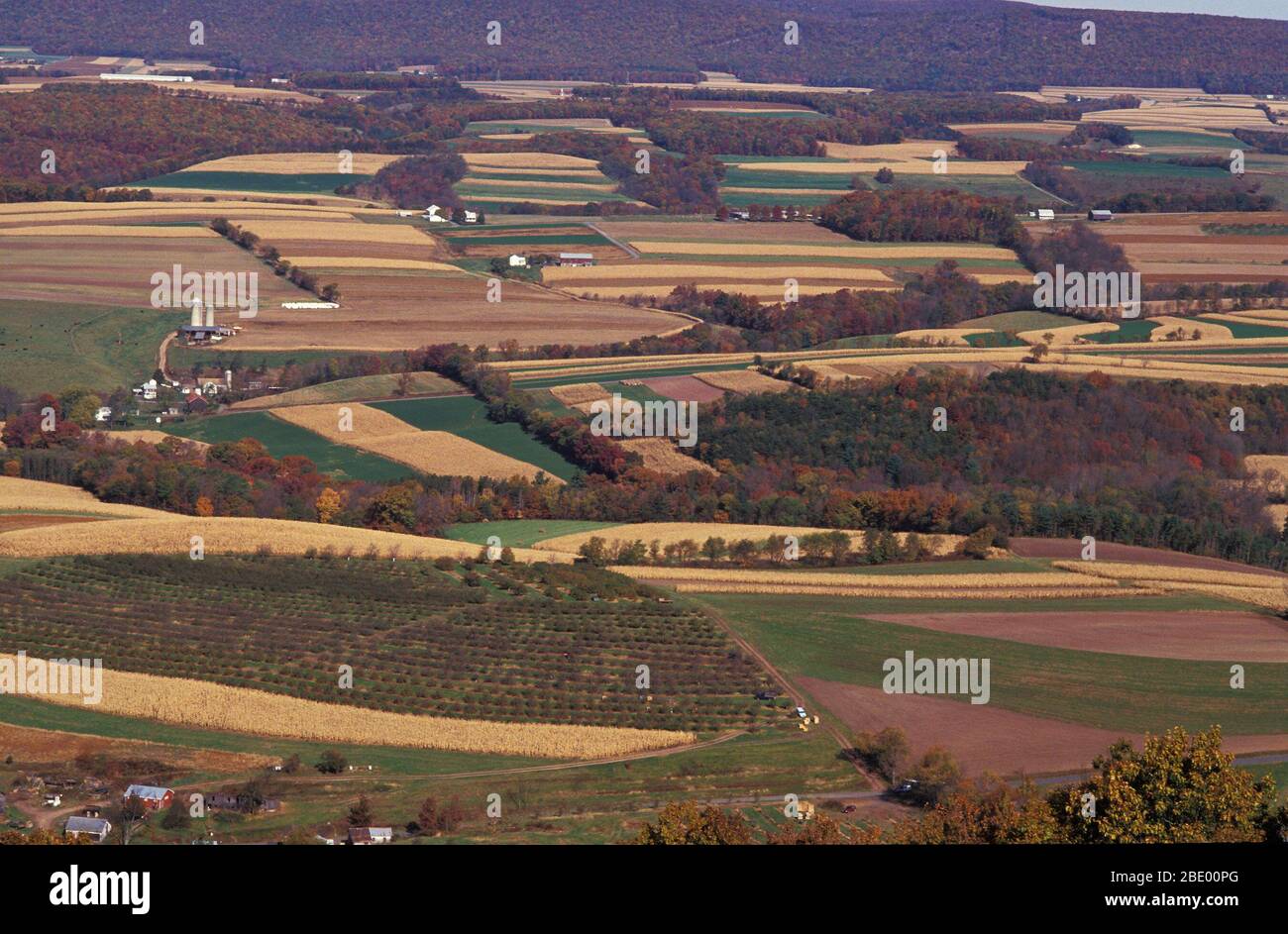 Bassin versant du ruisseau Mahantango Banque D'Images