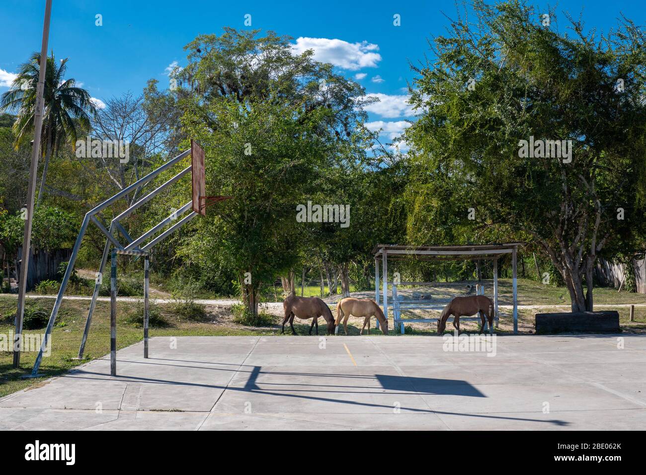 Ce village guatémaltèque est très calme et seulement peu de touristes y font leur chemin même s'il est situé très près de Tikal. Banque D'Images