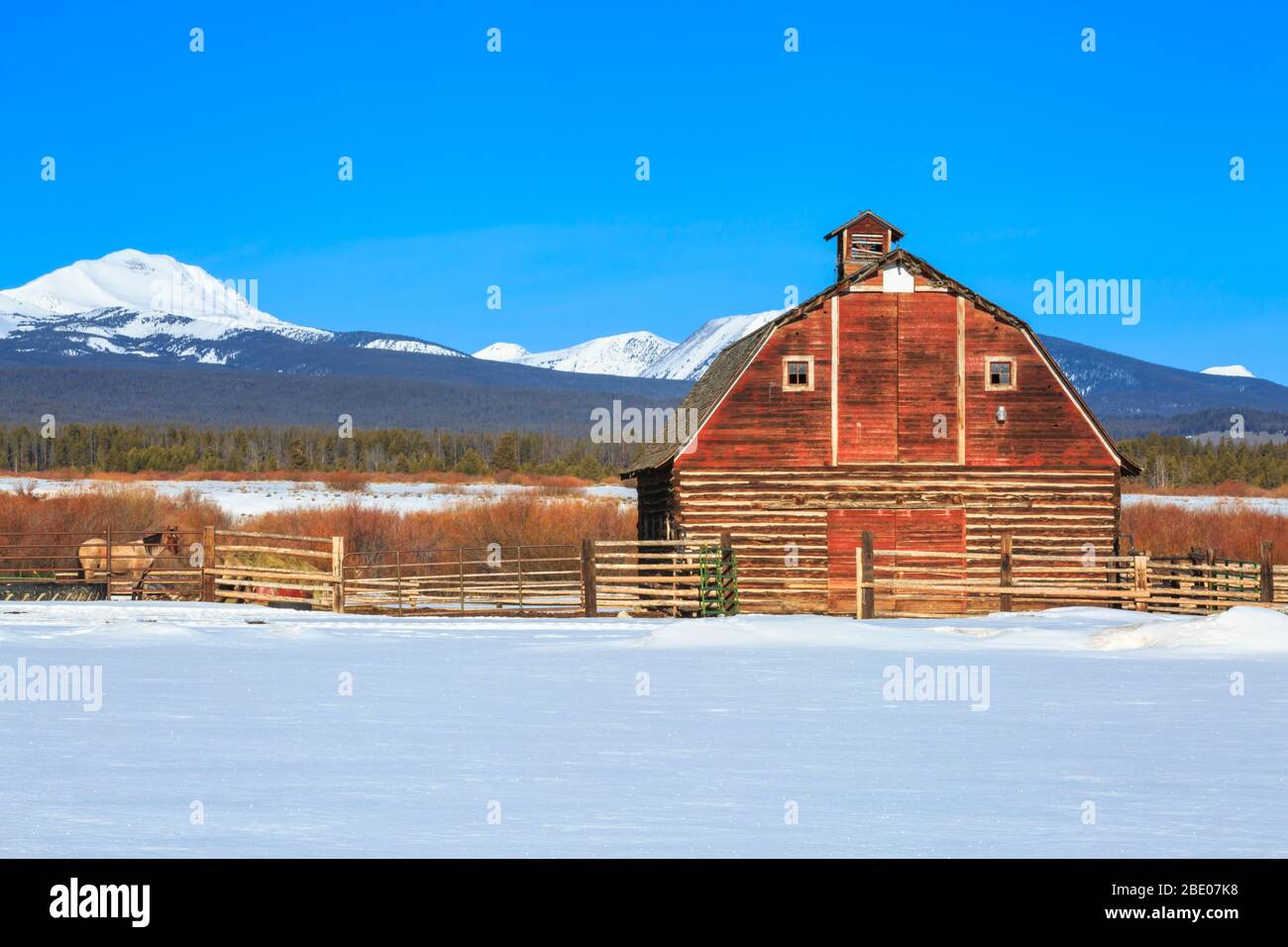 ancienne grange en rondins sous les montagnes de beaverhead dans la grande vallée du trou supérieur en hiver près de jackson, montana Banque D'Images