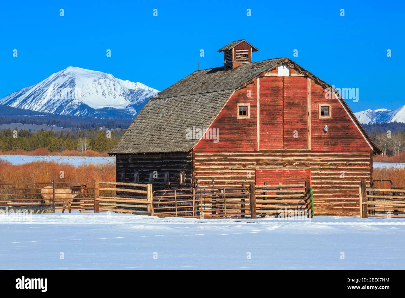 ancienne grange en rondins sous les montagnes de beaverhead dans la grande vallée du trou supérieur en hiver près de jackson, montana Banque D'Images