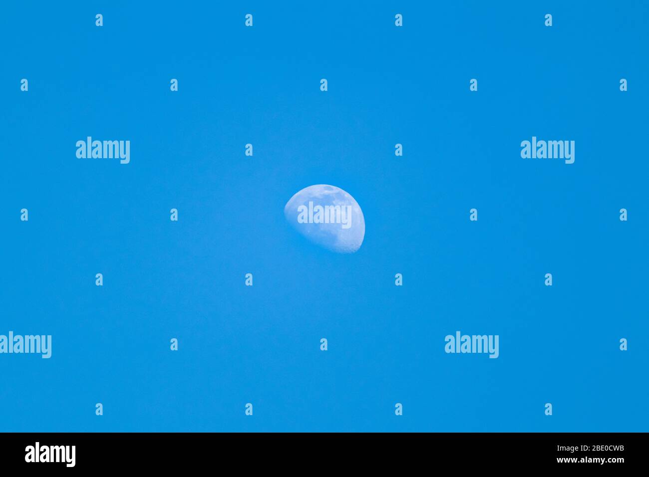 Lune blanche demi-lumière de jour sur ciel bleu se rapprochez. Vue agrandie du télescope de la lune en pleine croissance de jour avec zoom détaillé Banque D'Images