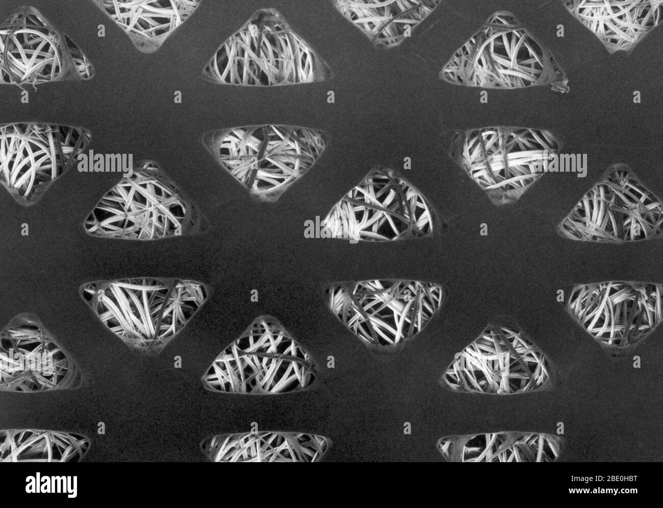 Tampon absorbant pour aides à la bande, vu sous un microscope électronique à balayage. La couche grise sans prouesses avec de nombreux trous triangulaires est le film non absorbant qui empêche le tampon de coller à une plaie. Les brins de fil convolués visibles dans les trous sont les fibres qui rendent l'absorbant du tampon d'aide à la bande. Le côté long de chaque trou triangulaire mesure environ 400 microns de longueur, soit environ la longueur d'un grain de sel de table. Agrandissement : 120 X à 8 x 10'. Banque D'Images
