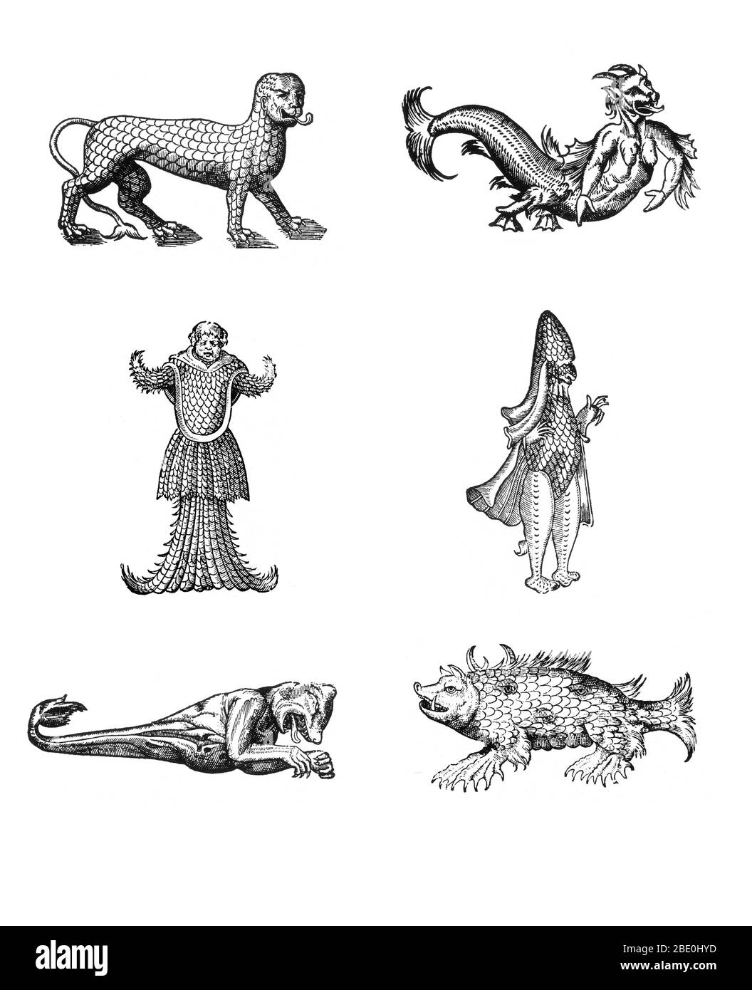 Bosses de monstres marins de des Montres et prodiges par Ambroise Paré, 1573, dans le sens horaire de haut à gauche: 'Lion de marine recouvert de écailles', 'figure cachette d'un diable de mer', 'monstre de marine ressemblant à un évêque vêtu de ses vêtements pontificaux', 'marine sow', 'Monstre marin ayant la tête d'un ours et les bras d'un singe', 'monstre marin ayant la tête d'un moine, armé et recouvert d'écailles de poisson'. Les Montres sont remplis de récits non corroborés de diables marins, de truies marines et d'animaux monstrueux à visage humain. Avec sa discussion approfondie de la reproduction et des illustrations de naissance Banque D'Images