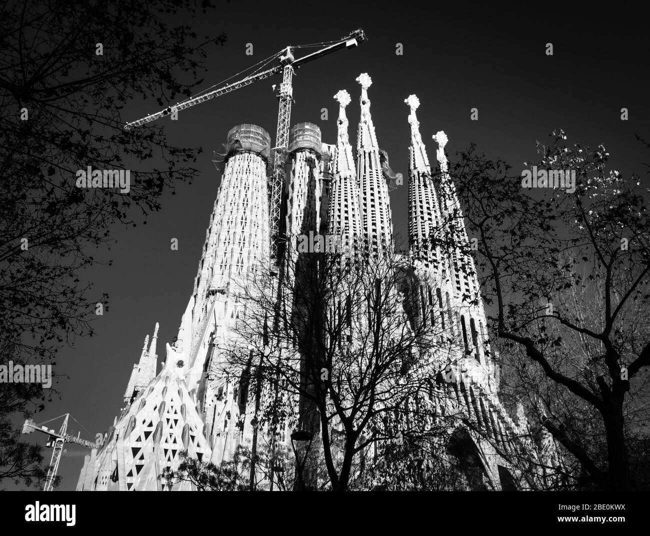 Image monochrome de la basilique de la Sagra Familia de l'ouest et encadrée par des arbres Banque D'Images