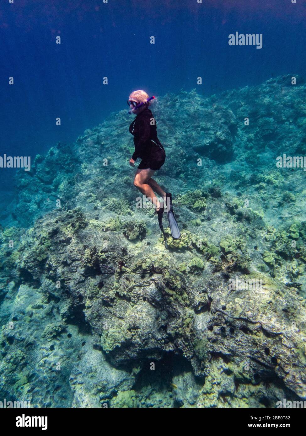 Les femmes explorent le récif tout en faisant de la libre-plongée sur la côte de Kona de la Grande île d'Hawaï. Banque D'Images