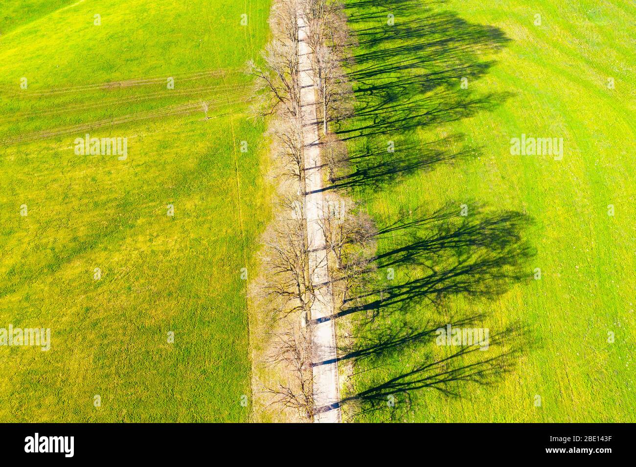 Ombre de l'avenue dans un pré, près de Nantesbuch, près de Bad Heilbrunn, Toelzer Land, drone shot, contreforts alpins, Haute-Bavière, Bavière, Allemagne Banque D'Images