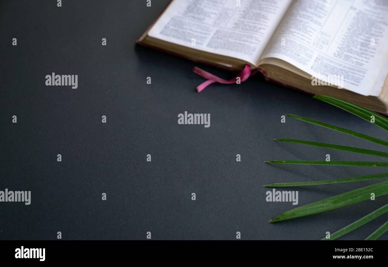 Vue de dessus de la Bible Sainte ouverte avec des feuilles de palmier sur fond noir. Espace de copie. Banque D'Images