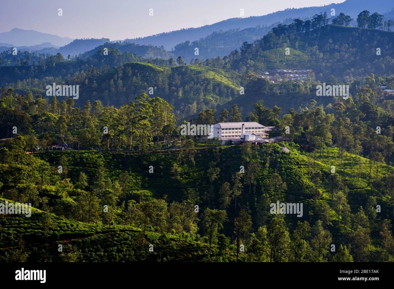 Une usine de thé entourée de plantations de thé à Ella, au Sri Lanka Banque D'Images