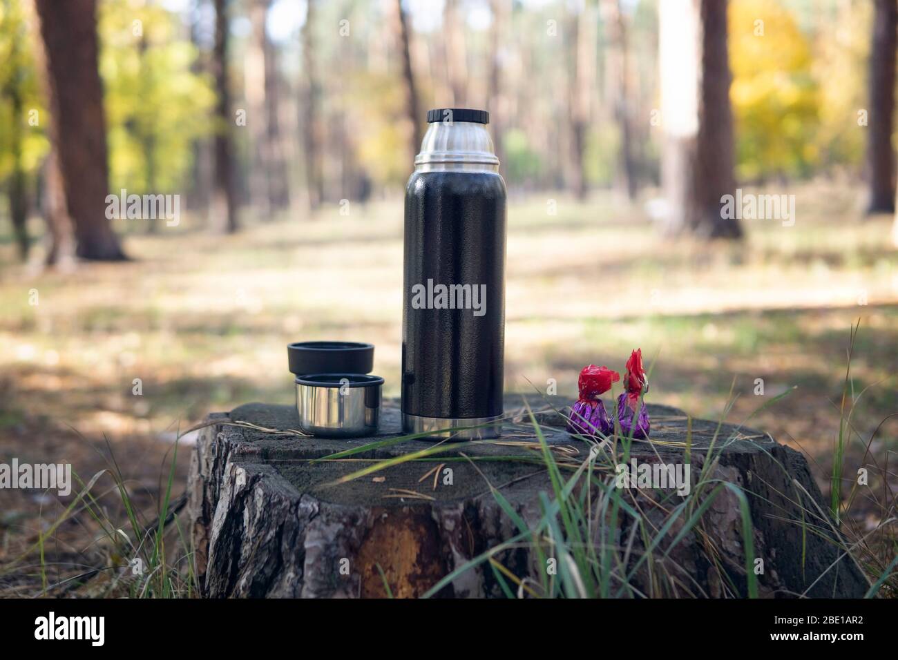 Bouteille thermos avec une tasse de thé et deux bonbons sur une souche. Pique-niquez dans le parc pendant une journée ensoleillée d'automne. Banque D'Images