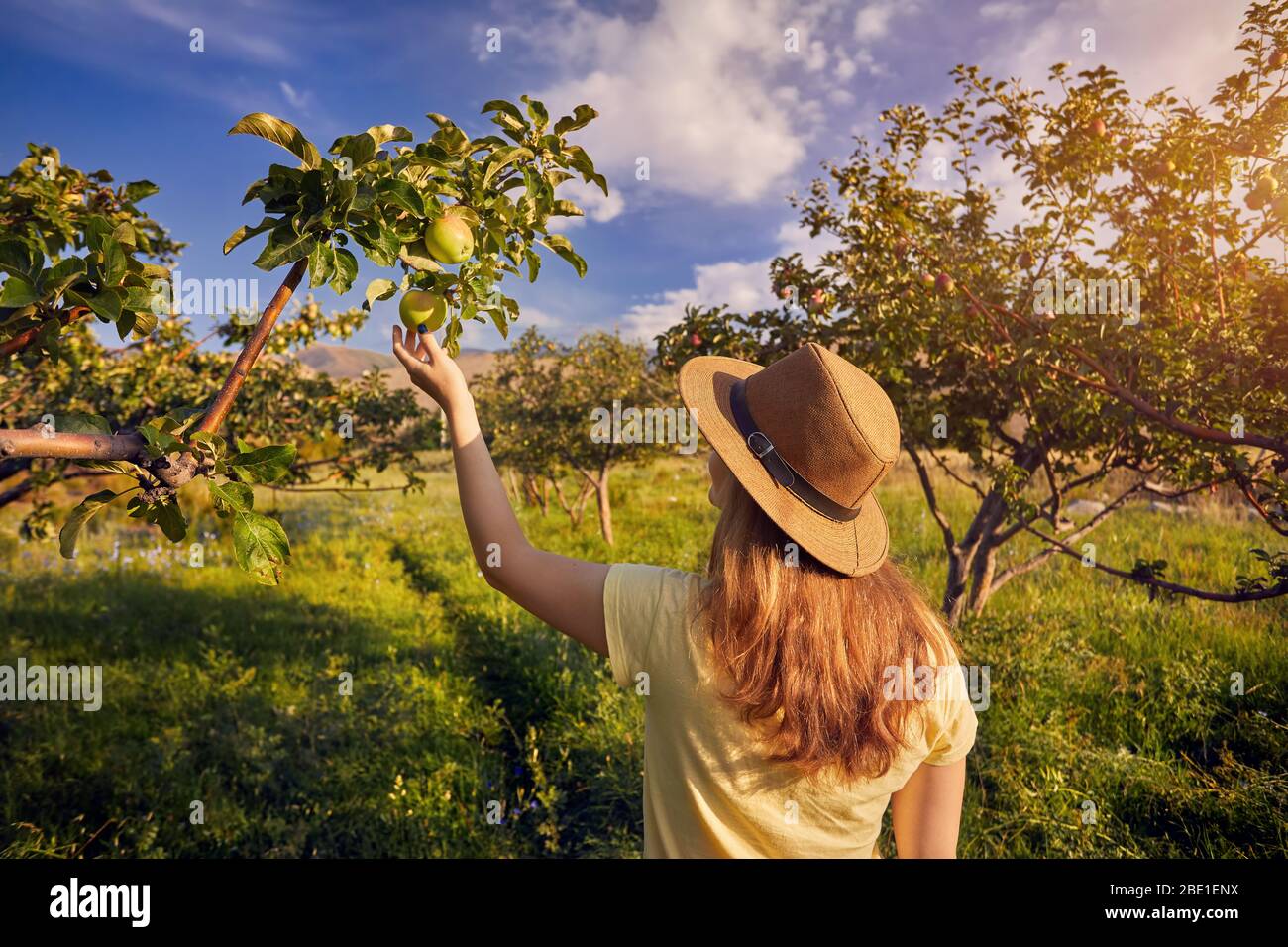 Woman in hat torsions yellow apple dans le jardin au coucher du soleil Banque D'Images