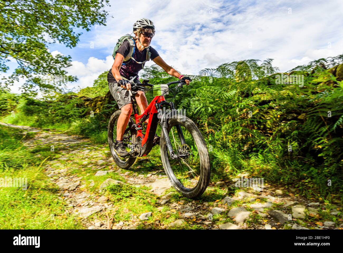 VTT sur e-bike descendant Moor Lane près de Satterthwaite sur le bord de la forêt de Grizedale dans le district de Lake Banque D'Images