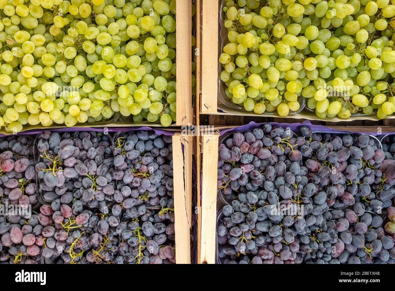 De magnifiques grappes de raisins blancs et bleus sur le marché agricole Banque D'Images