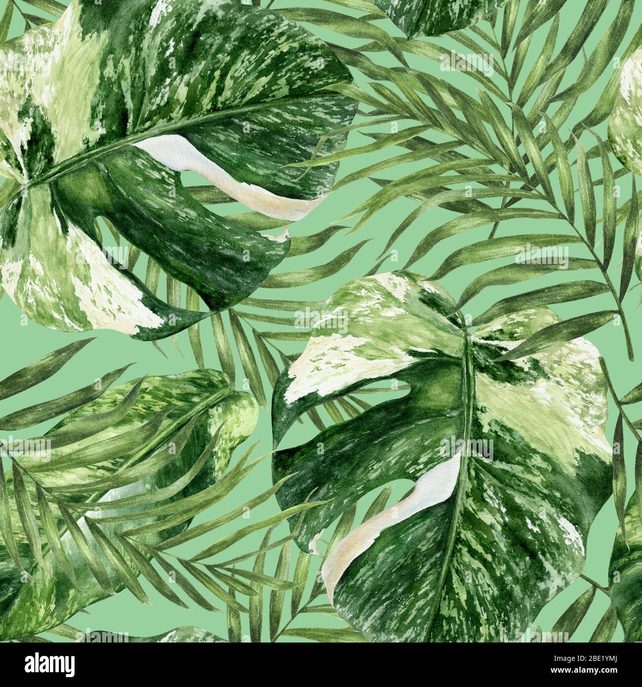 Illustration aquarelle à feuilles tropicales dessinées à la main. Motif sans couture. Banque D'Images