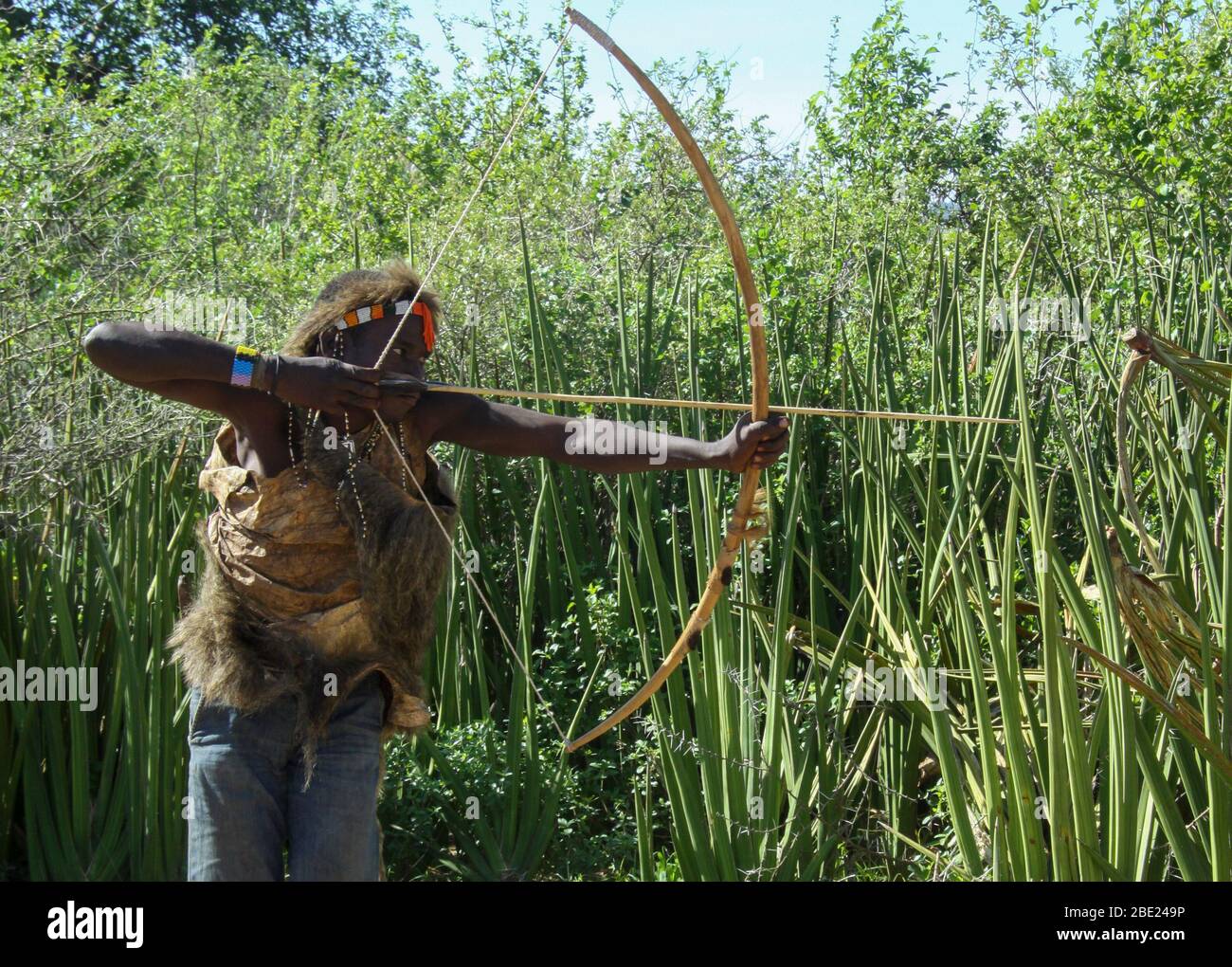 Hadza (Hadzabe) homme visant une flèche à un oiseau pendant une expédition de chasse. Hatzabe est une petite tribu de chasseurs cueilleurs en Afrique de l'est. Photographié Banque D'Images