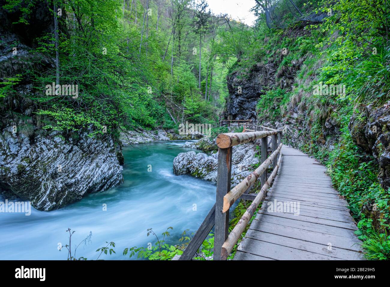 Col de trottoir du canyon de Vintgar. Slovénie Banque D'Images