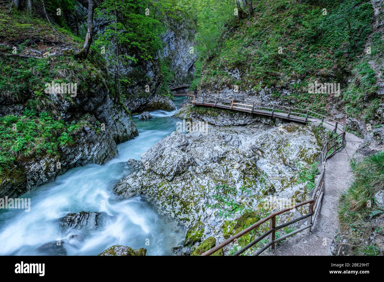 Col de trottoir du canyon de Vintgar. Slovénie Banque D'Images