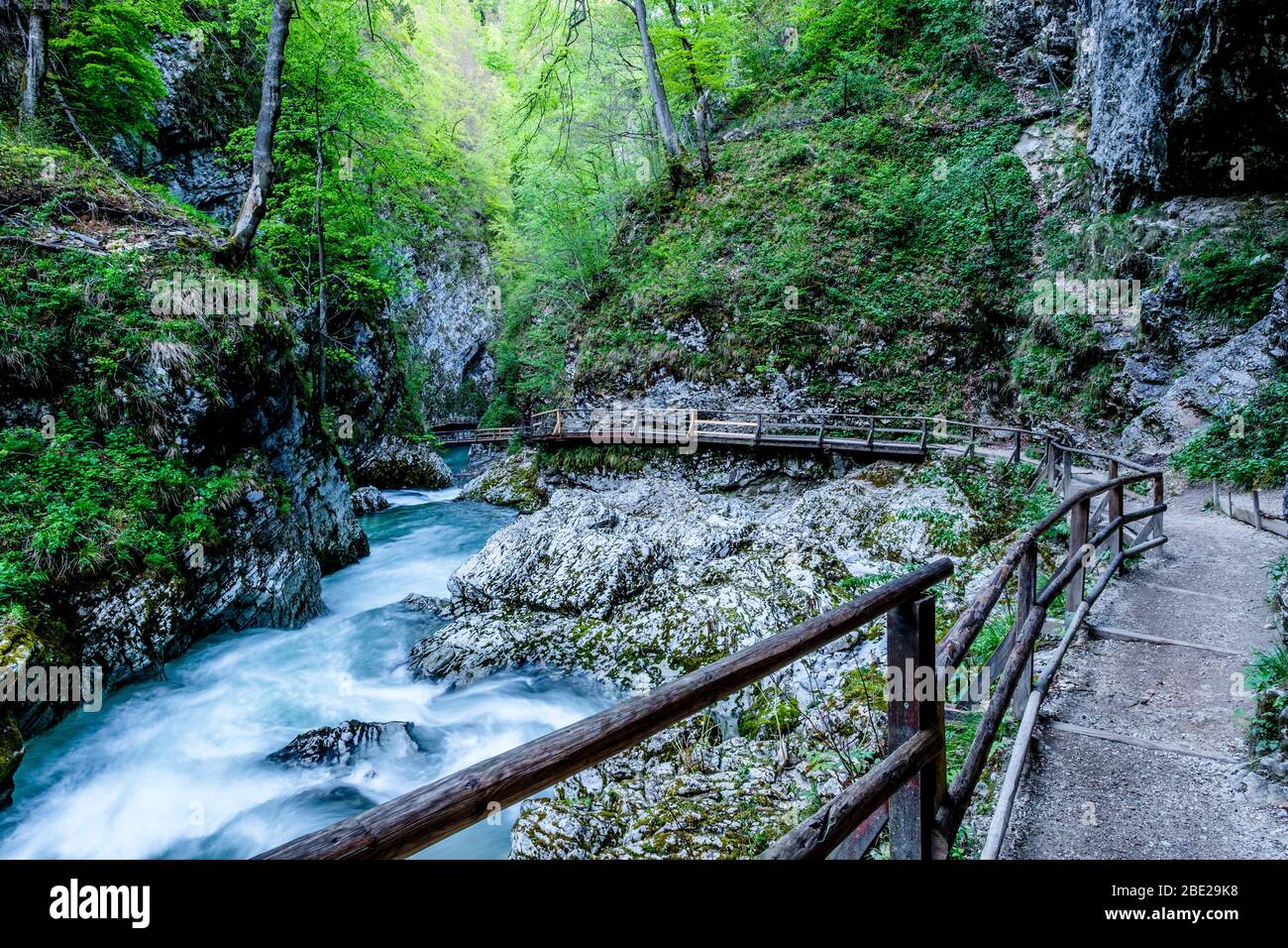 Col de trottoir du canyon de Vintgar. Slovénie Banque D'Images