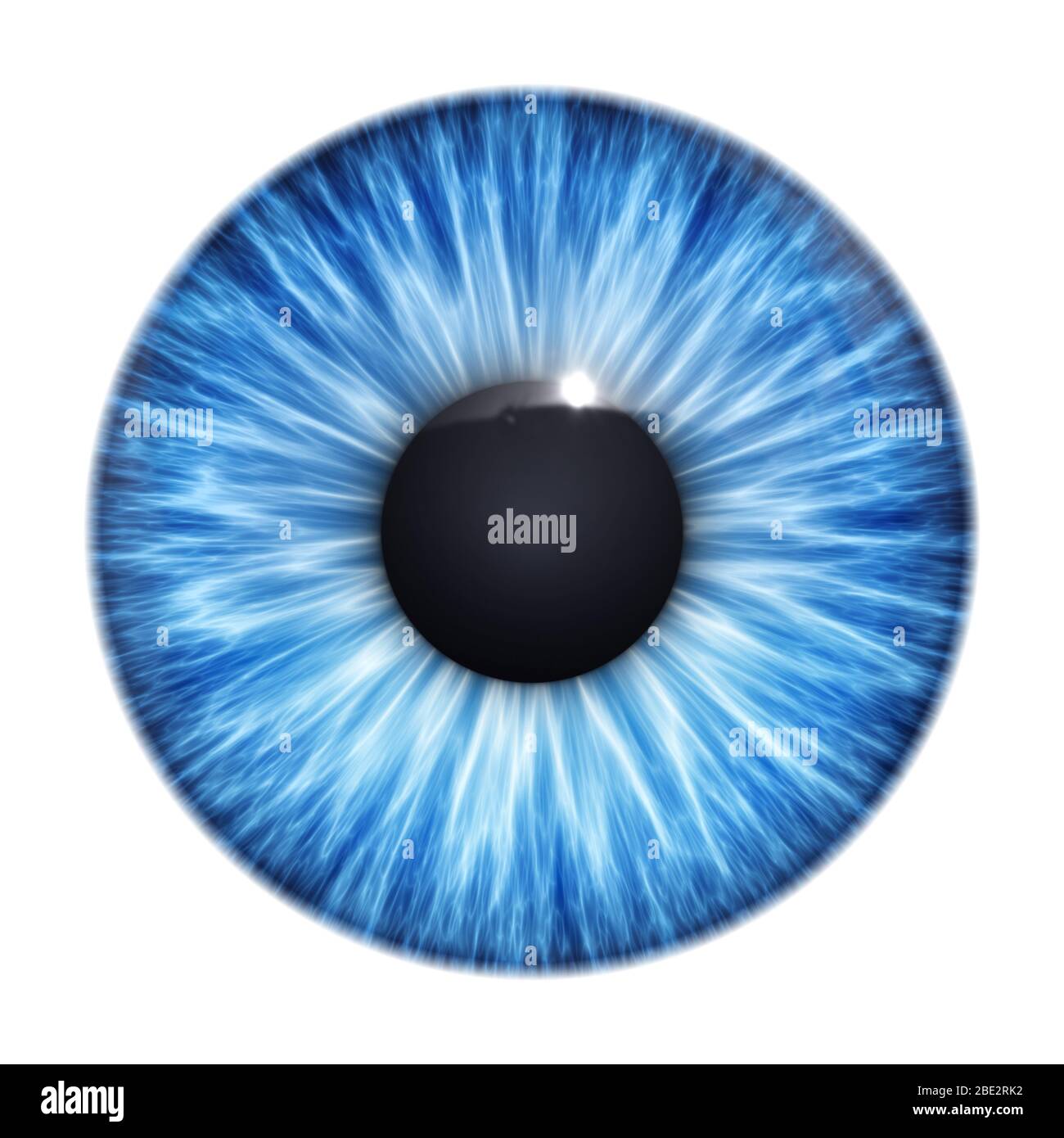 Ein blaues Auge vor weissem Hintergrund Banque D'Images