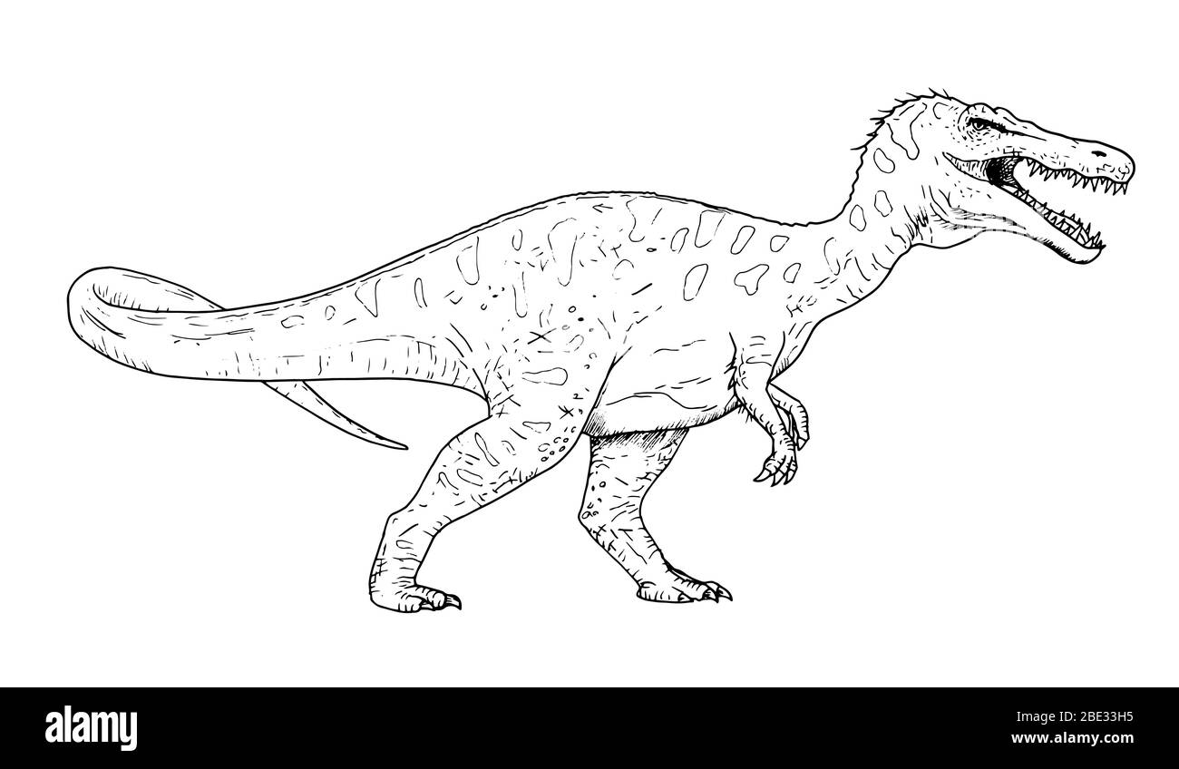 Dessin de dinosaure - croquis à la main de Baryonyx, illustration en noir et blanc Illustration de Vecteur