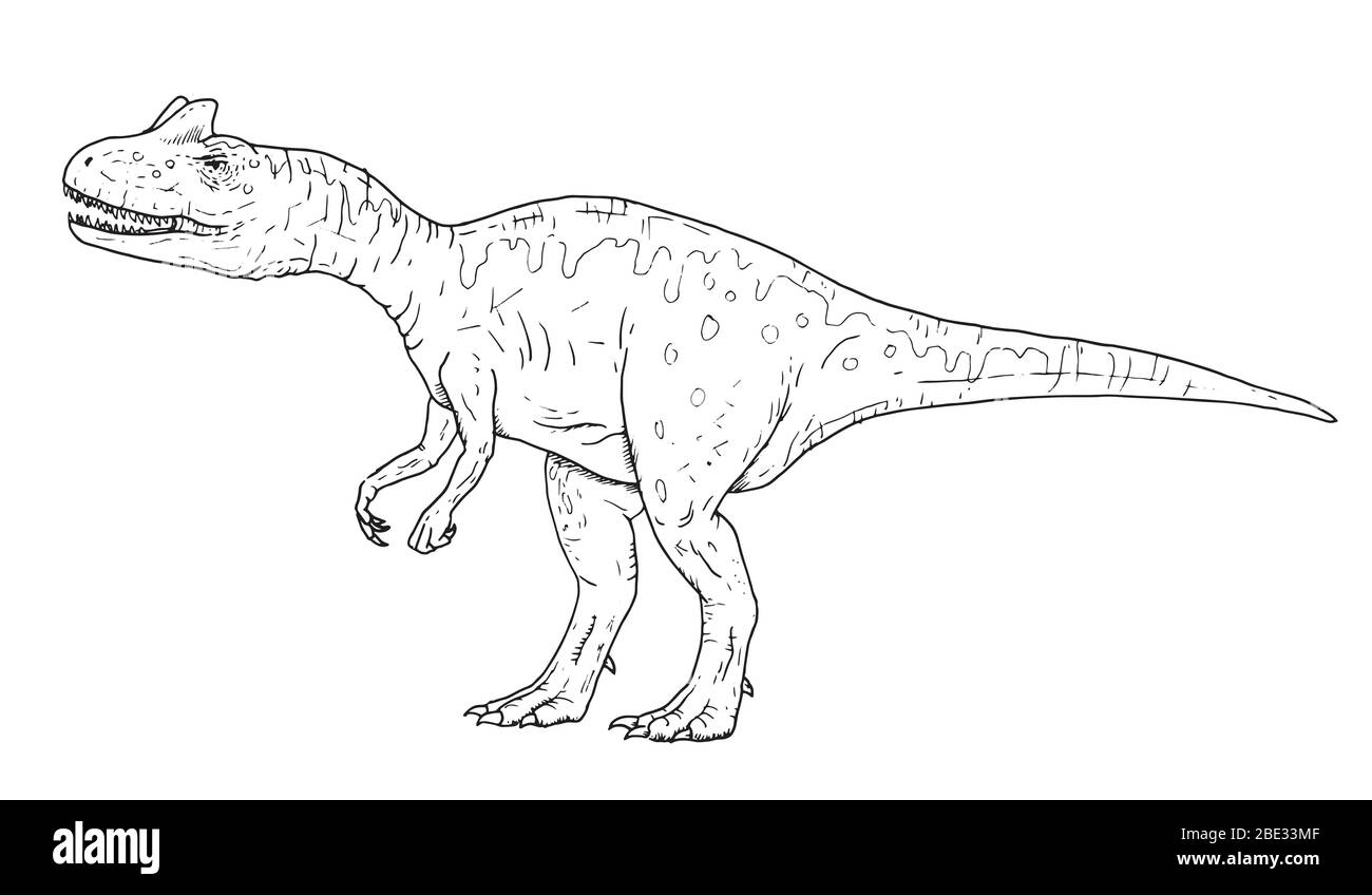 Dessin d'un dinosaure prédateur - croquis à la main d'Allosaure, illustration en noir et blanc Illustration de Vecteur