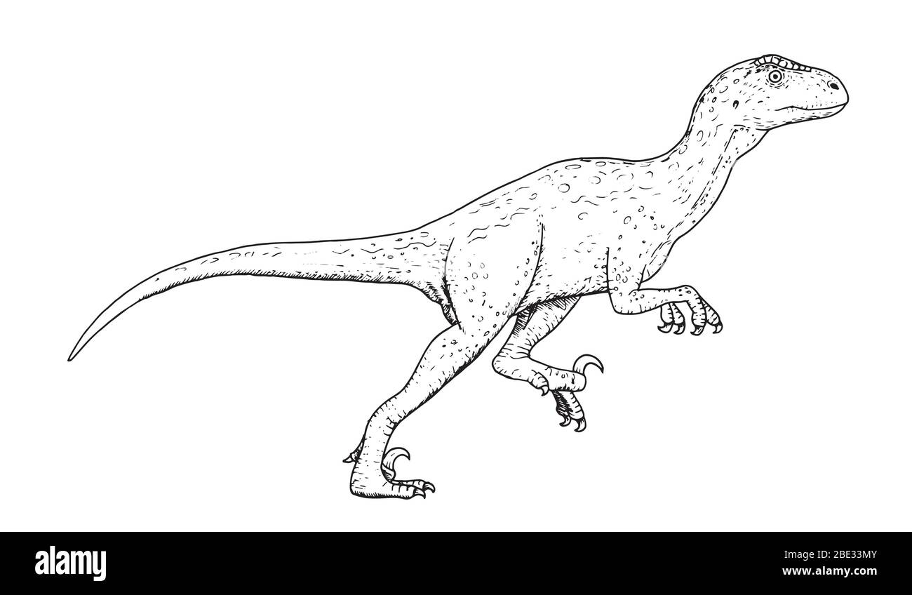 Dessin de dinosaure - croquis à la main de Deinonychus, illustration en noir et blanc Illustration de Vecteur