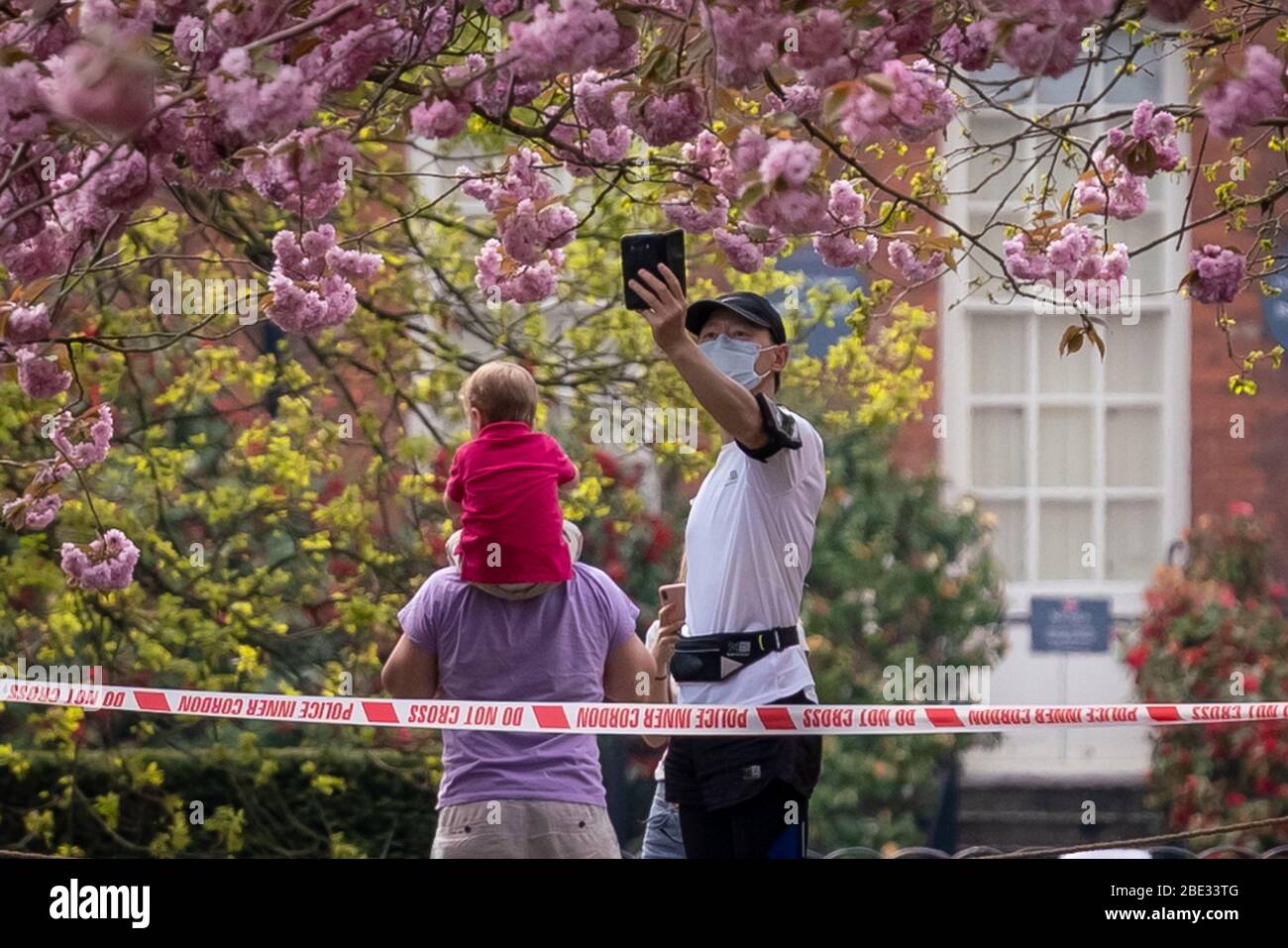 Londres, Royaume-Uni. 11 avril 2020. Coronavirus : week-end de Pâques avec maintien de la canicule dans le Greenwich Park. Les cerisiers en fleurs du parc, aujourd'hui en pleine floraison, sont enfilés derrière un cordon policier pour décourager les rassemblements publics, car la police continue d'exhorter les gens à maintenir une distance physique dans les parcs britanniques. Crédit: Guy Corbishley/Alay Live News Banque D'Images