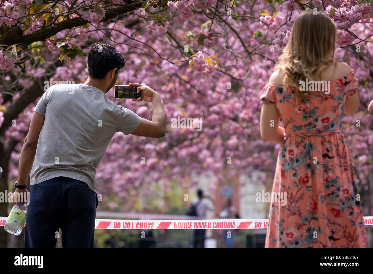 Londres, Royaume-Uni. 11 avril 2020. Coronavirus : week-end de Pâques avec maintien de la canicule dans le Greenwich Park. Les cerisiers en fleurs du parc, aujourd'hui en pleine floraison, sont enfilés derrière un cordon policier pour décourager les rassemblements publics, car la police continue d'exhorter les gens à maintenir une distance physique dans les parcs britanniques. Crédit: Guy Corbishley/Alay Live News Banque D'Images