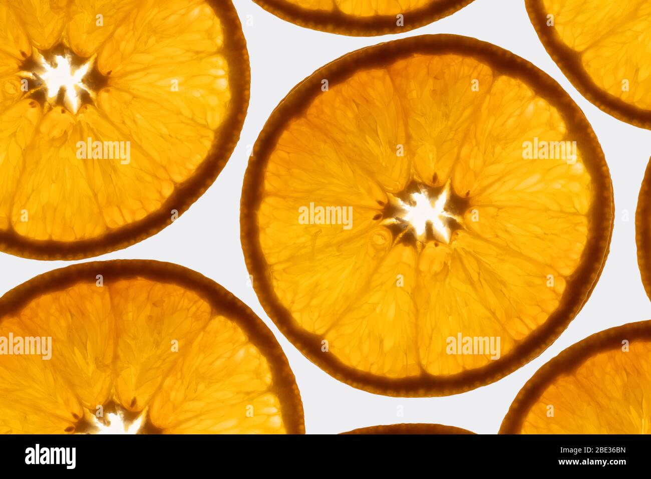 une photo de gros plan intéressante de tranches d'orange transparentes sur un fond blanc brillant Banque D'Images